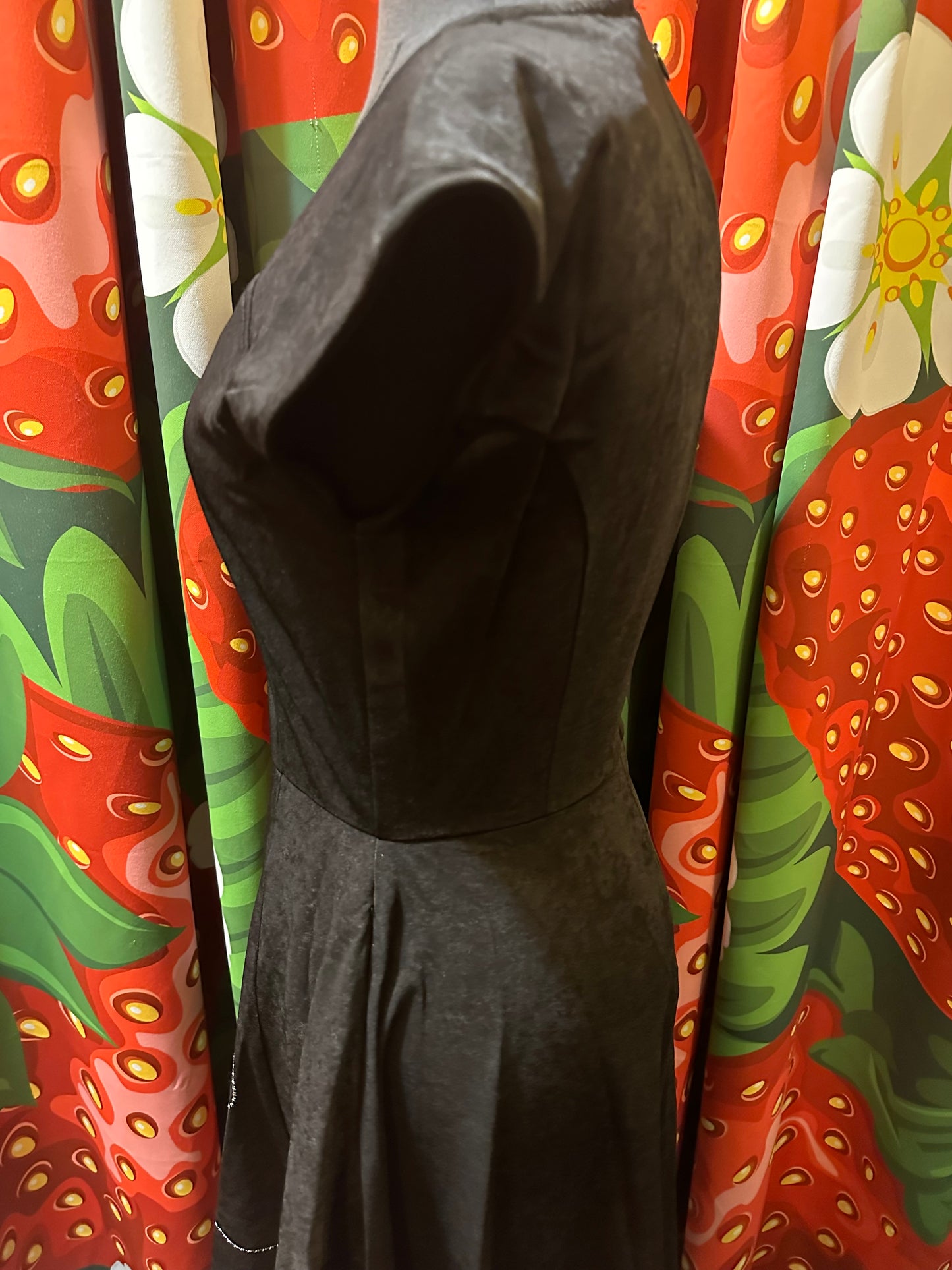 1950’s Black Poodle Dress