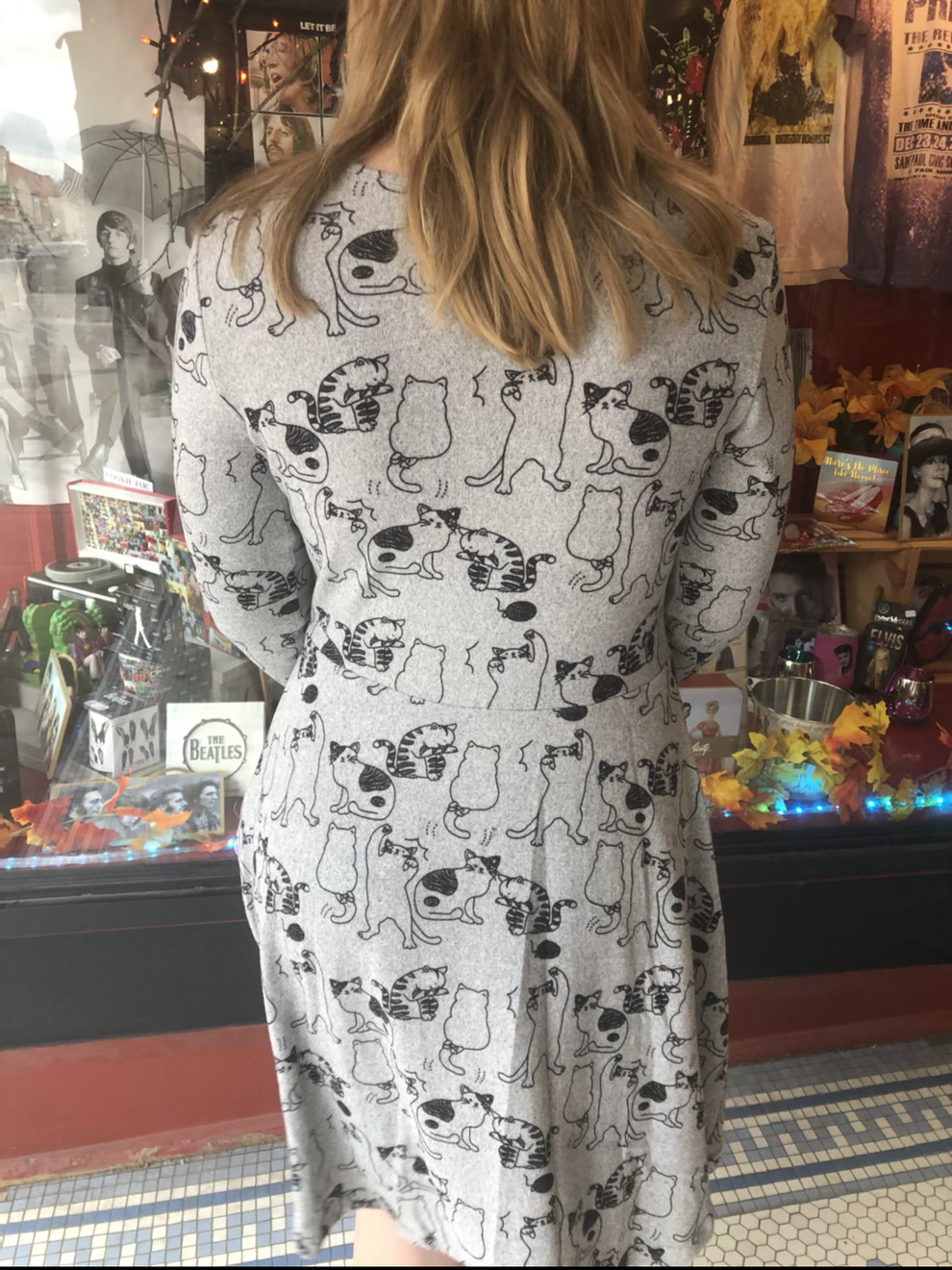 Cat Happy Dress😻